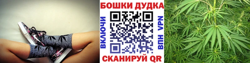 Где купить Ковров Alpha PVP Гашиш