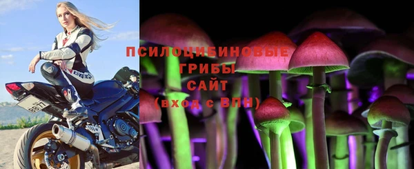 соль курить ск Алексеевка