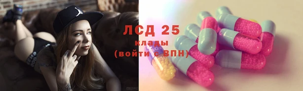 гидра Алексин