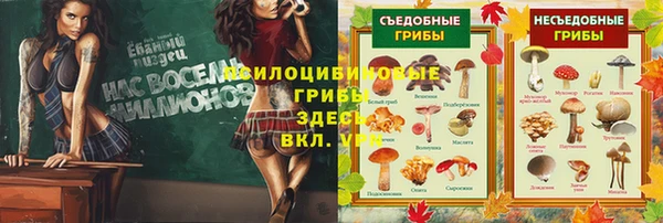 кокс Алзамай