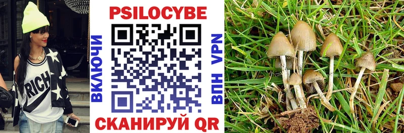 blacksprut ссылка  Ковров  Галлюциногенные грибы ЛСД  где продают  